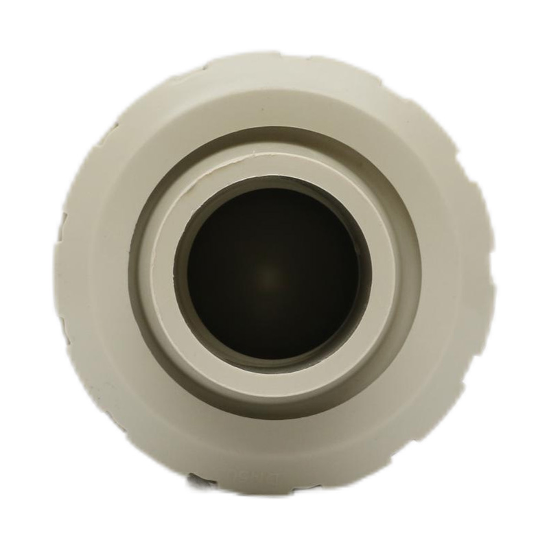 PPH H61F-10S Sıcak Eriyik Kaynaklı Çek Valf DN50 GB Standardı