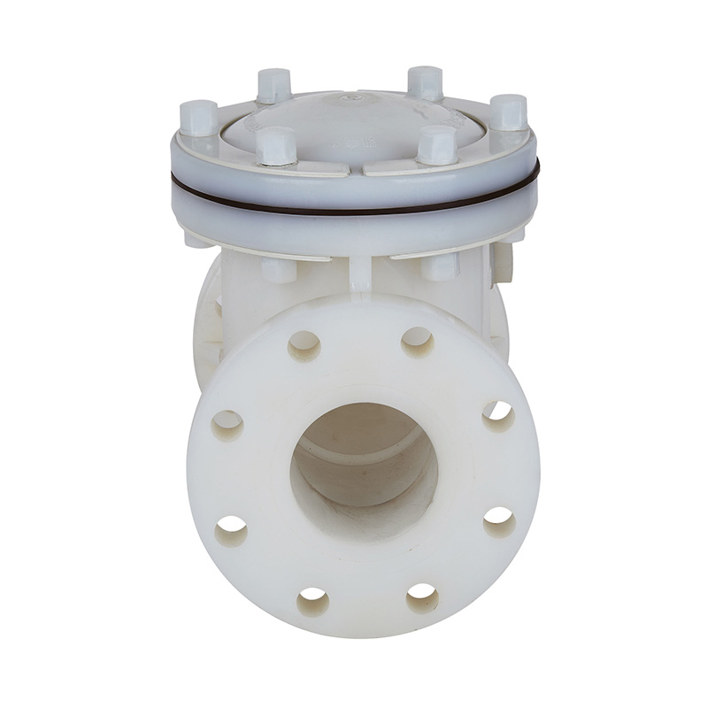 PVDF H44F-10F Salınım Tipi Çek Valf DN15-300 1/2'-12' ANSI Standardı