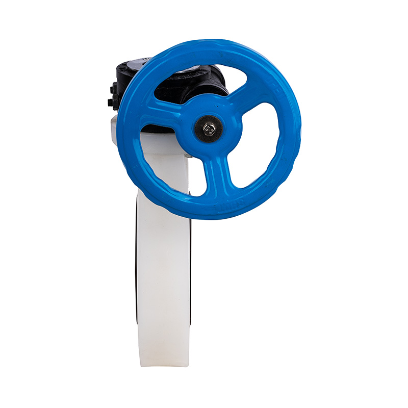 PVDF D371X-10F Sonsuz Dişli Kelebek Vana DN40-1000 40A-1000A JIS Standardı