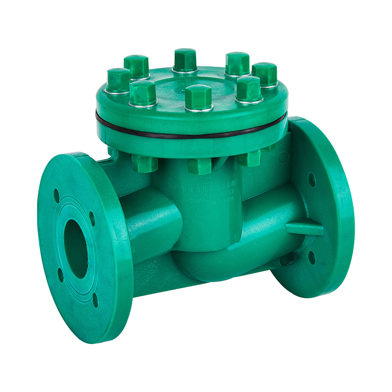 FRPP H41F-10S Yaşam Tipi Çek Valf DN40-80 GB Standart