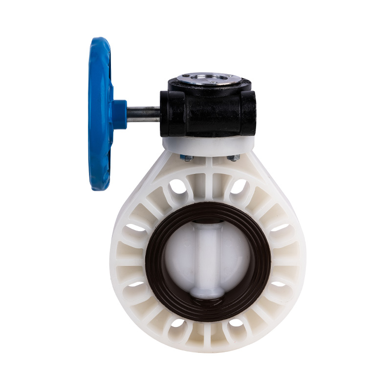 PVDF D371X-10F Sonsuz Dişli Kelebek Vana DN32-1000 GB Standart